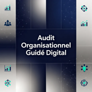 Audit Organisationnel Guidé Digital
