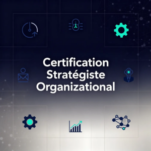 Certification Stratégiste Organizational