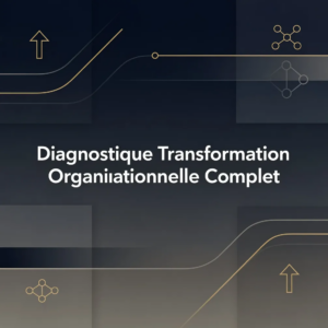 Diagnostique Transformation Organisationnelle Complet