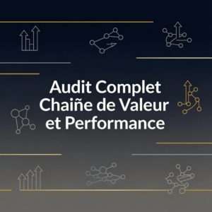 Audit Complet Chaîne de Valeur et Performance